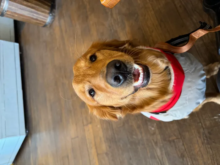 Oakley